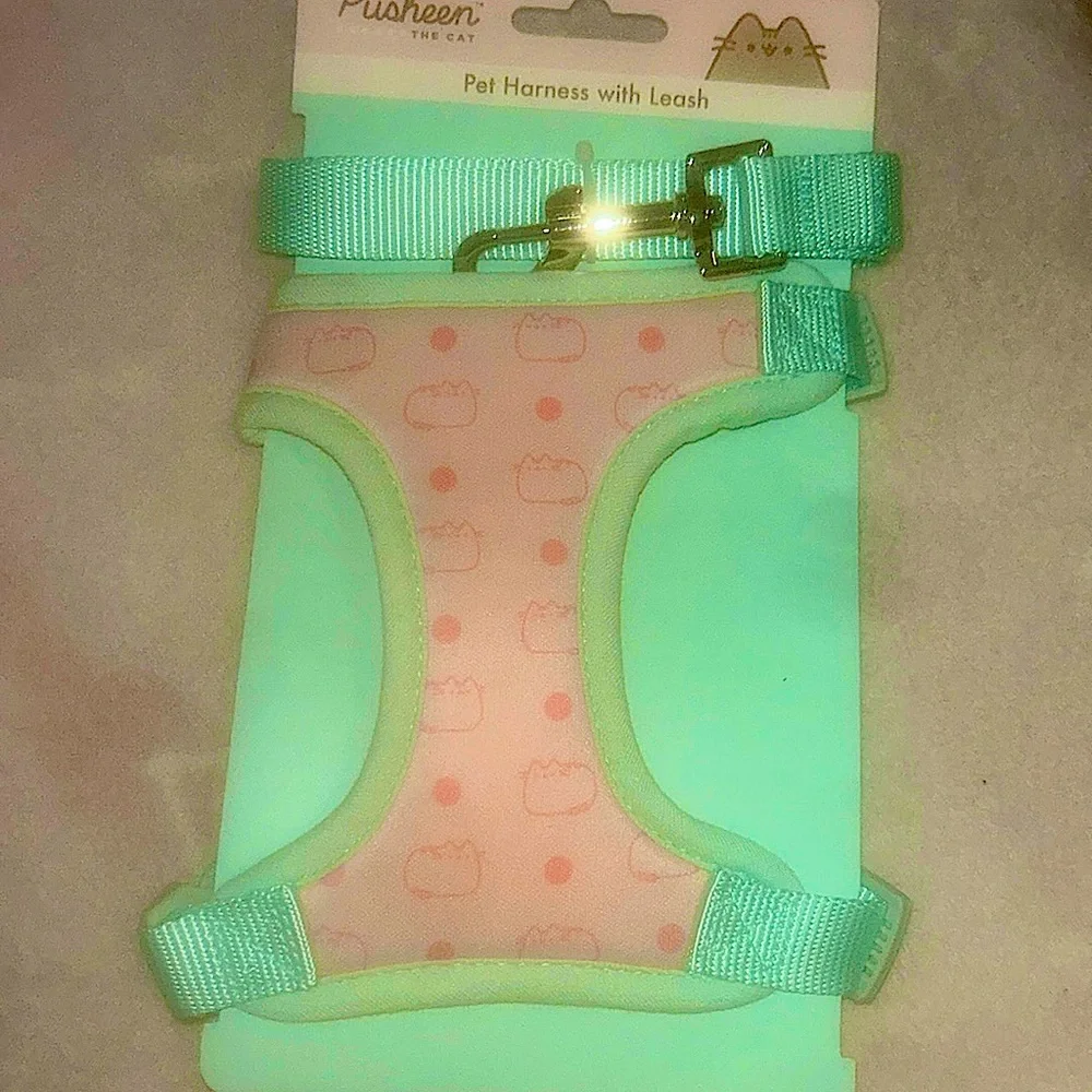 Pusheen The Cat Pink/Green Pet Harness and Leash Set